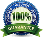 100 guarantee